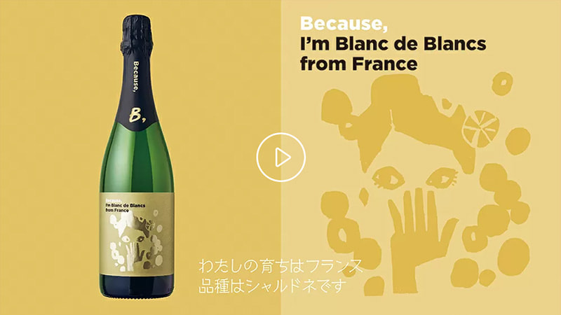 ブラン・ド・ブラン（フランス） | SCHOOL OF WINE ― Because,ワインの